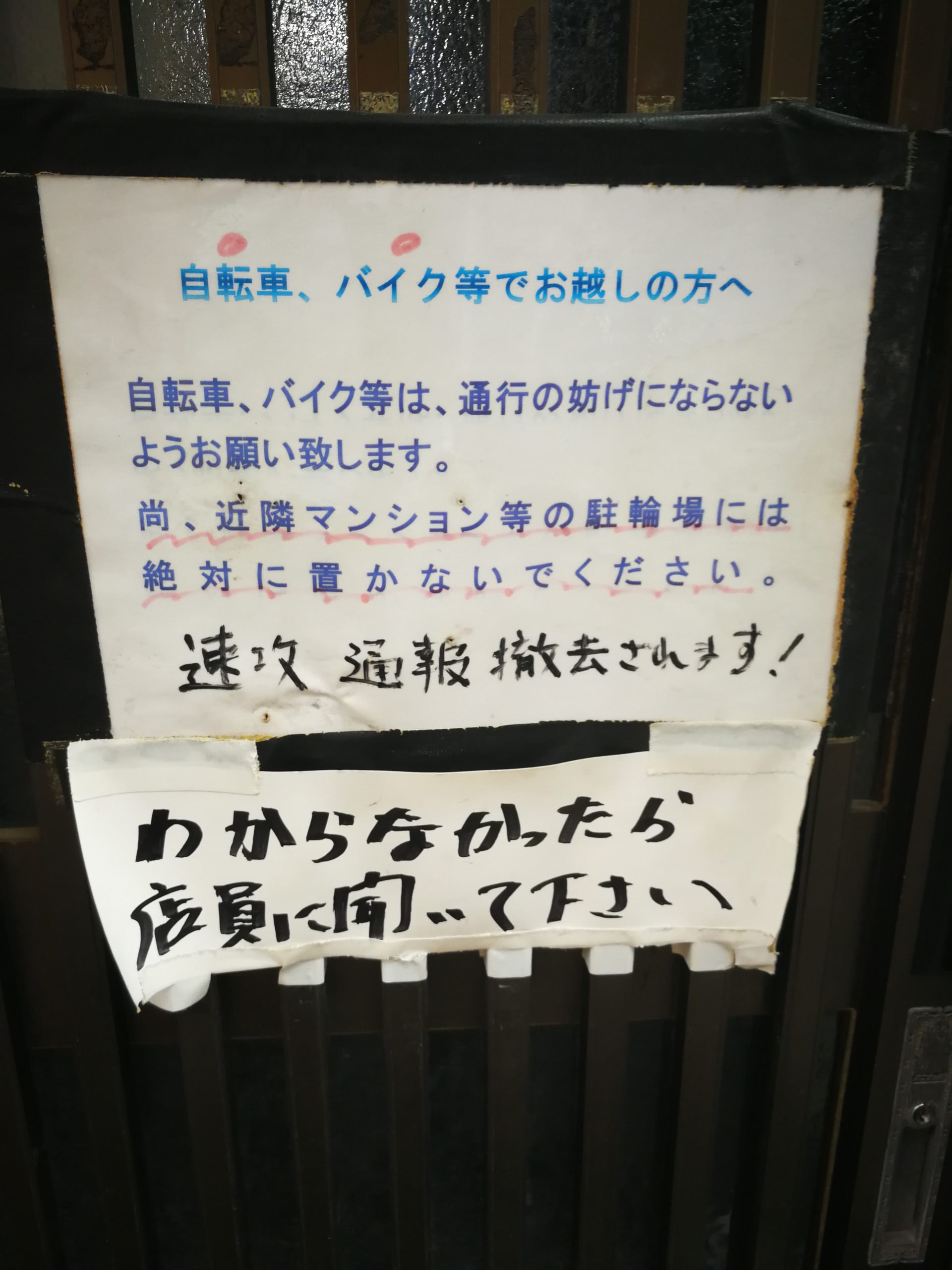 seimen-labo-appearance-02