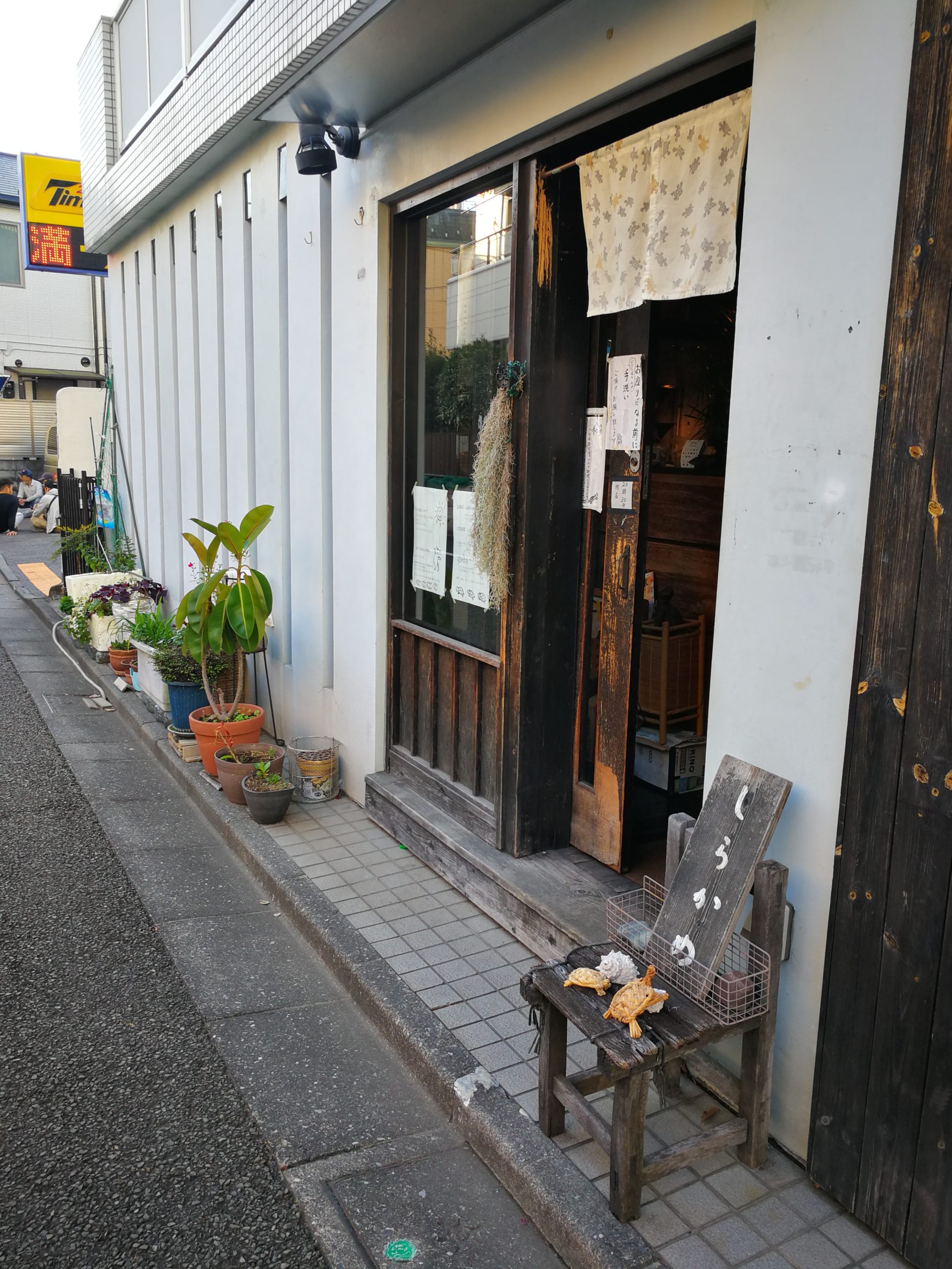 shirakame-kyodo-appearance-01