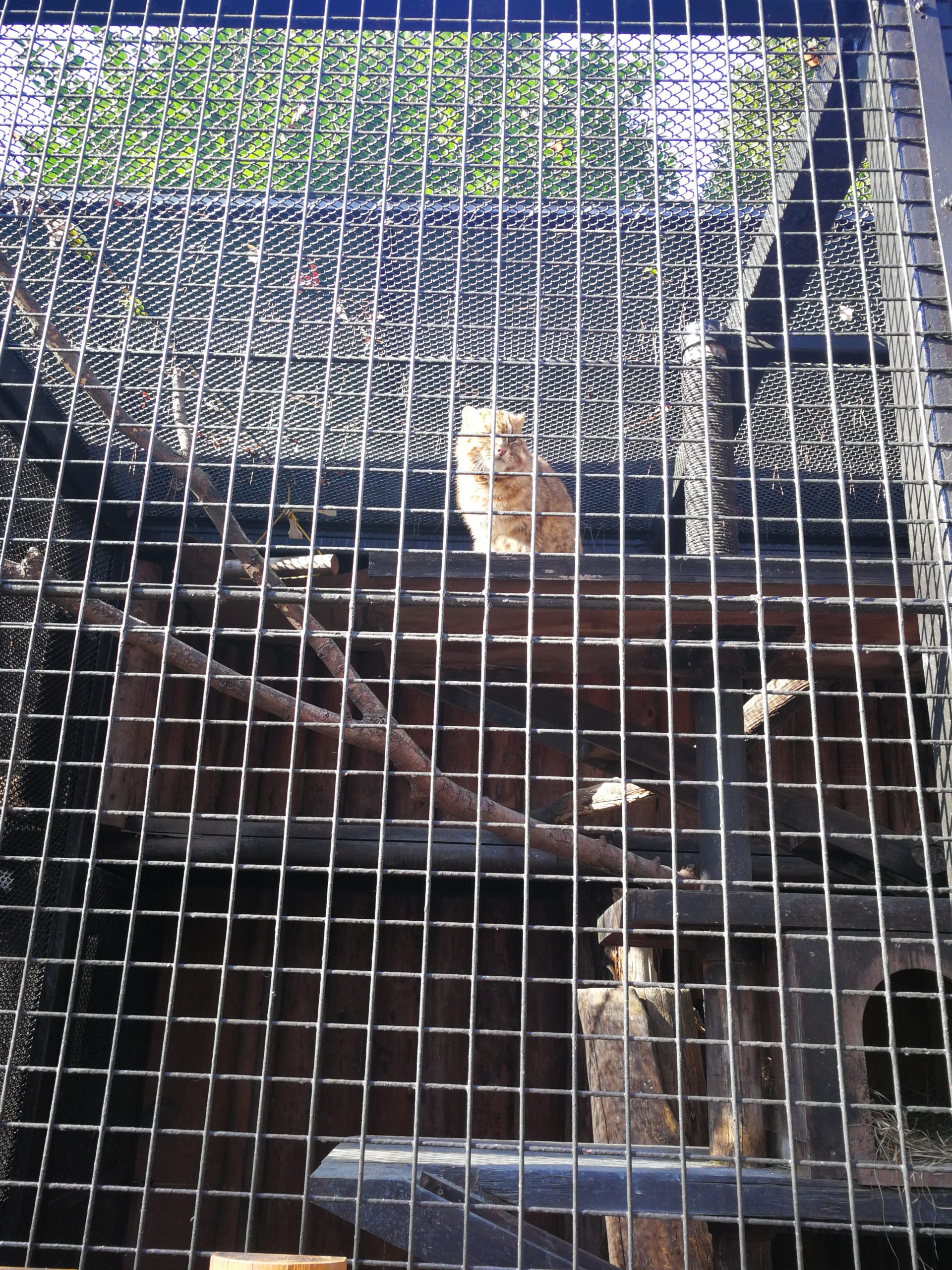 tokyo-zoo-58