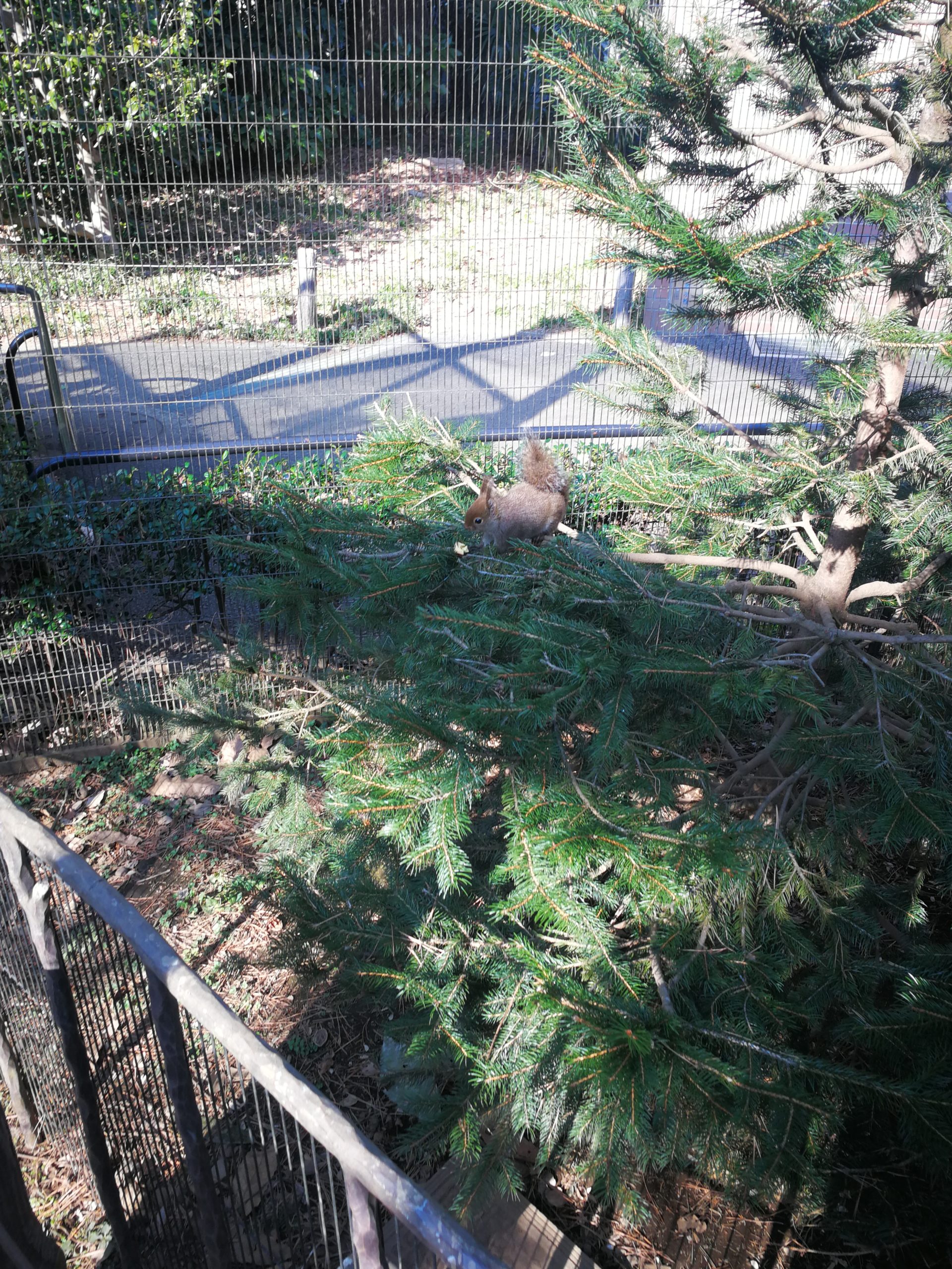 tokyo-zoo-60