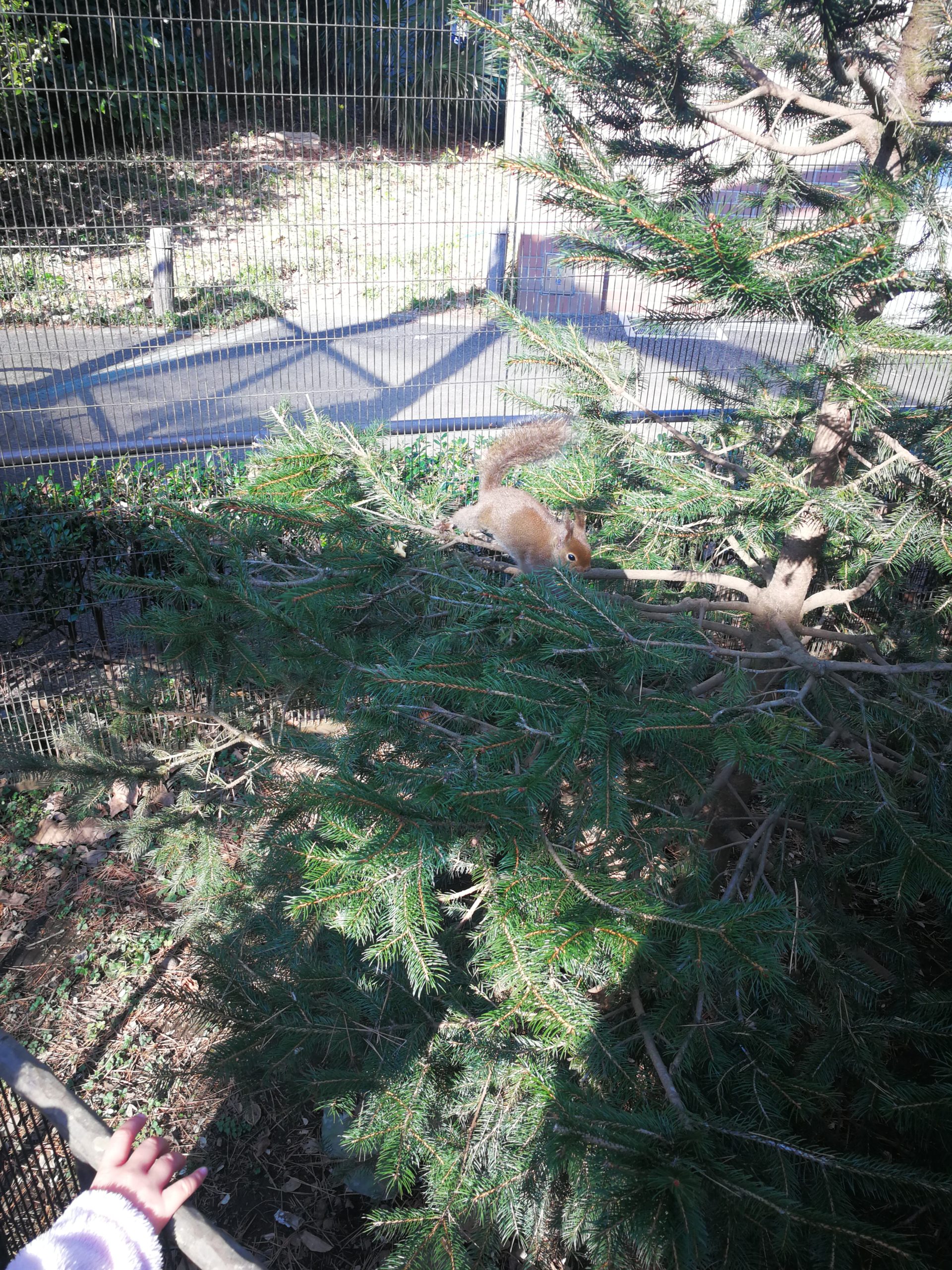tokyo-zoo-61