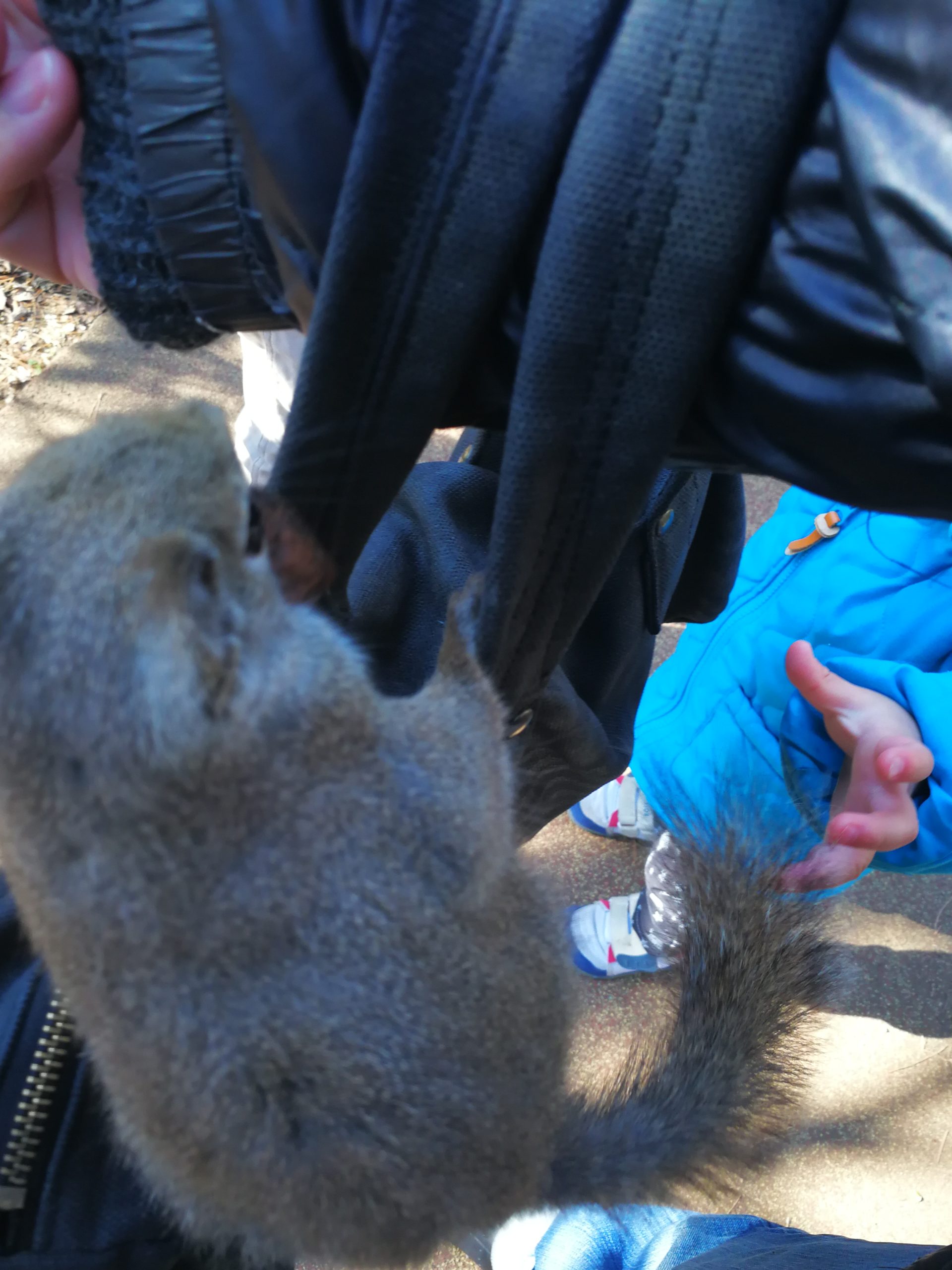tokyo-zoo-62
