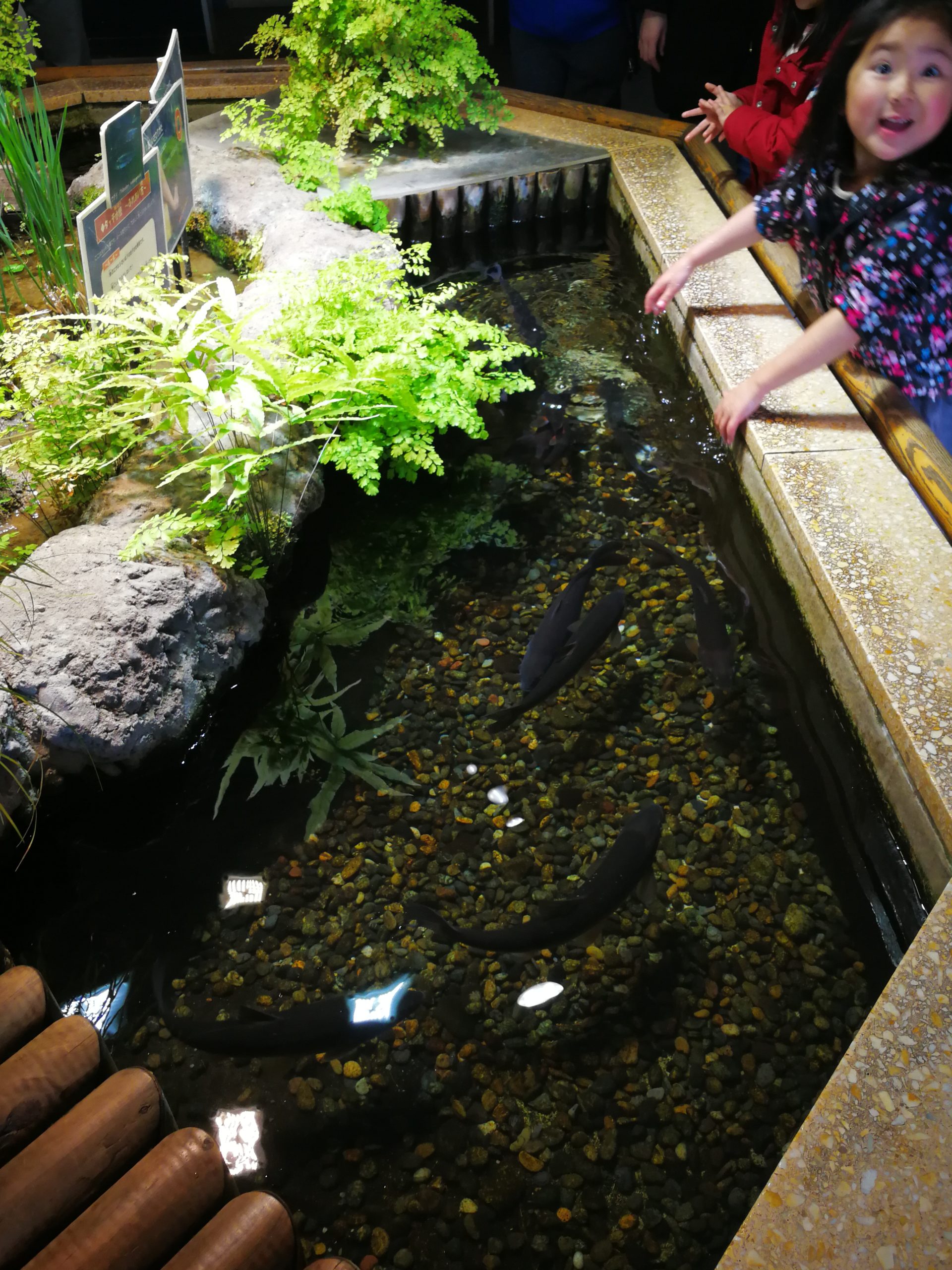 tokyo-zoo-64